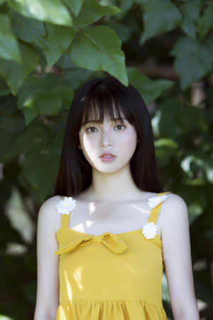 又大又硬又免费视频